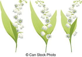 . ClipartLook.com Lily of the Valley - Spring flowers lily of the valley.