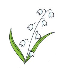 spring clipart lily of the va - Lily Of The Valley Clipart