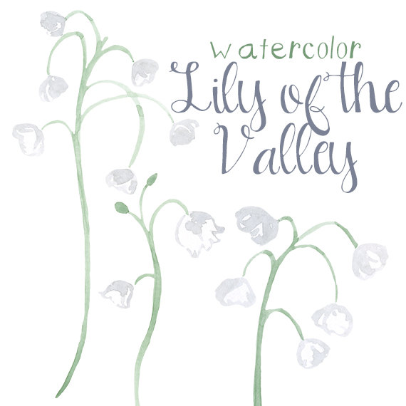 Watercolor Lily of the Valley Flower Clip Art for Scrapbooking Instant  Download Digital Flowers Digital Clipart Commercial Use