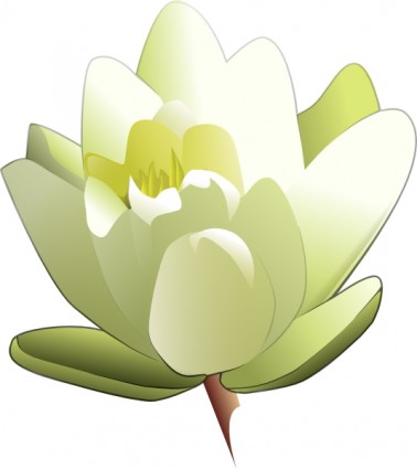 Lily pad clip art Free vector for free download (about 3 files).