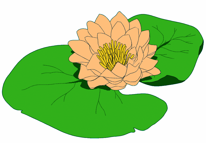 Lily Pad Flower Clip Art Free Cliparts That You Can Download To You