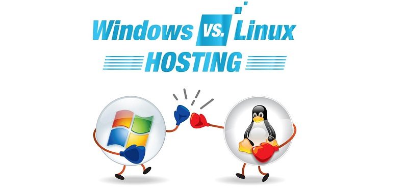 Linux or Windows Hosting