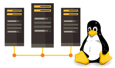 What makes Linux dedicated server web hosting useful?