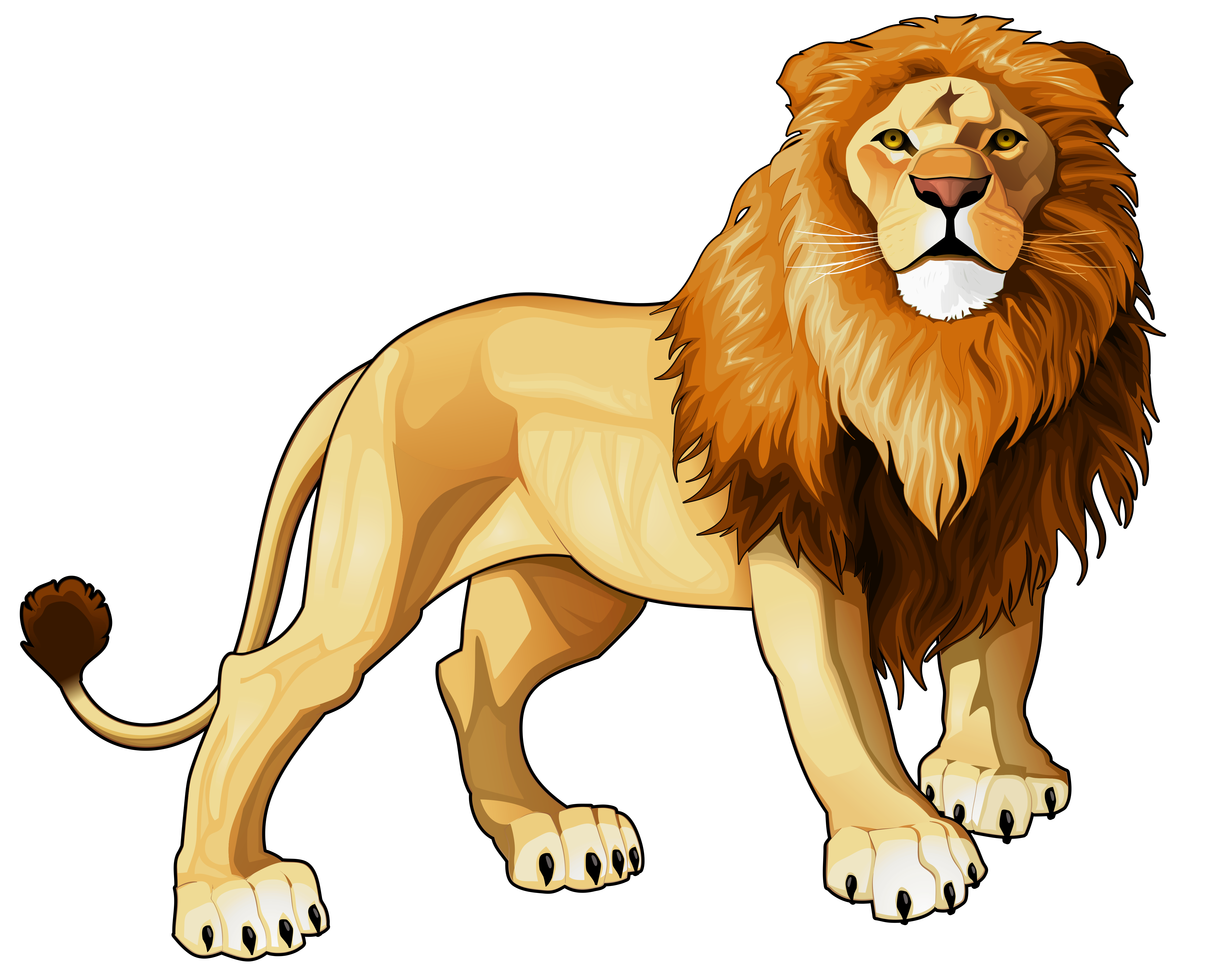 lion clipart