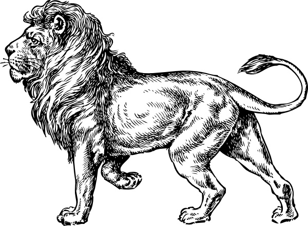 Lion clip art Free vector 445.90KB