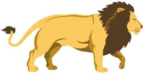 large male lion walking clipa