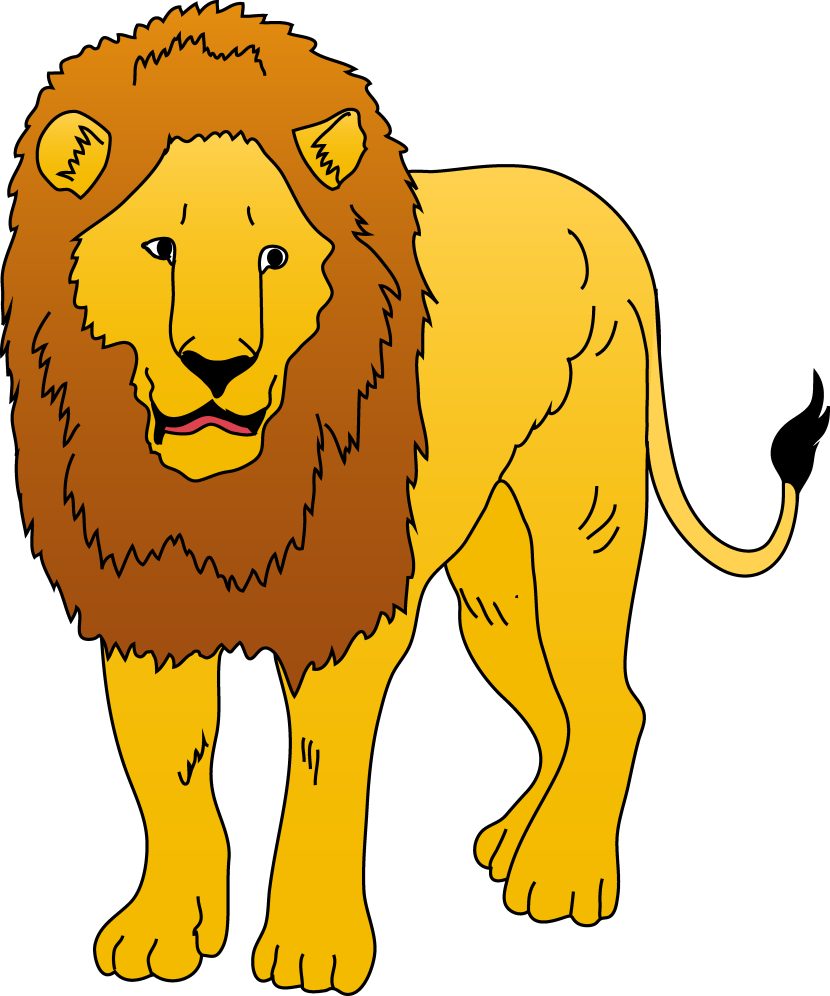 large male lion walking clipa
