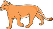 lioness walking alone clipart