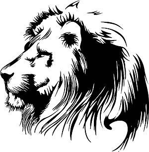 Lion Head Drawing Clipart .