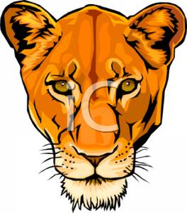 Free Head Lioness Clipart