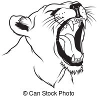 ... Lioness Head - Roaring Lioness Head - Hand Drawn.