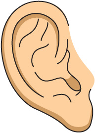 Download Left Ear Vector Clip