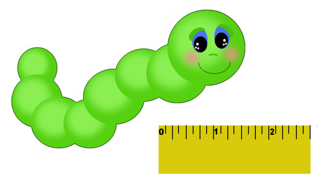 Little Inch Worm With Ruler Photo By Harkins2 Photobucket