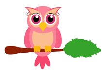 Little Owl Bird Sitting On Br - Clip Art Animal