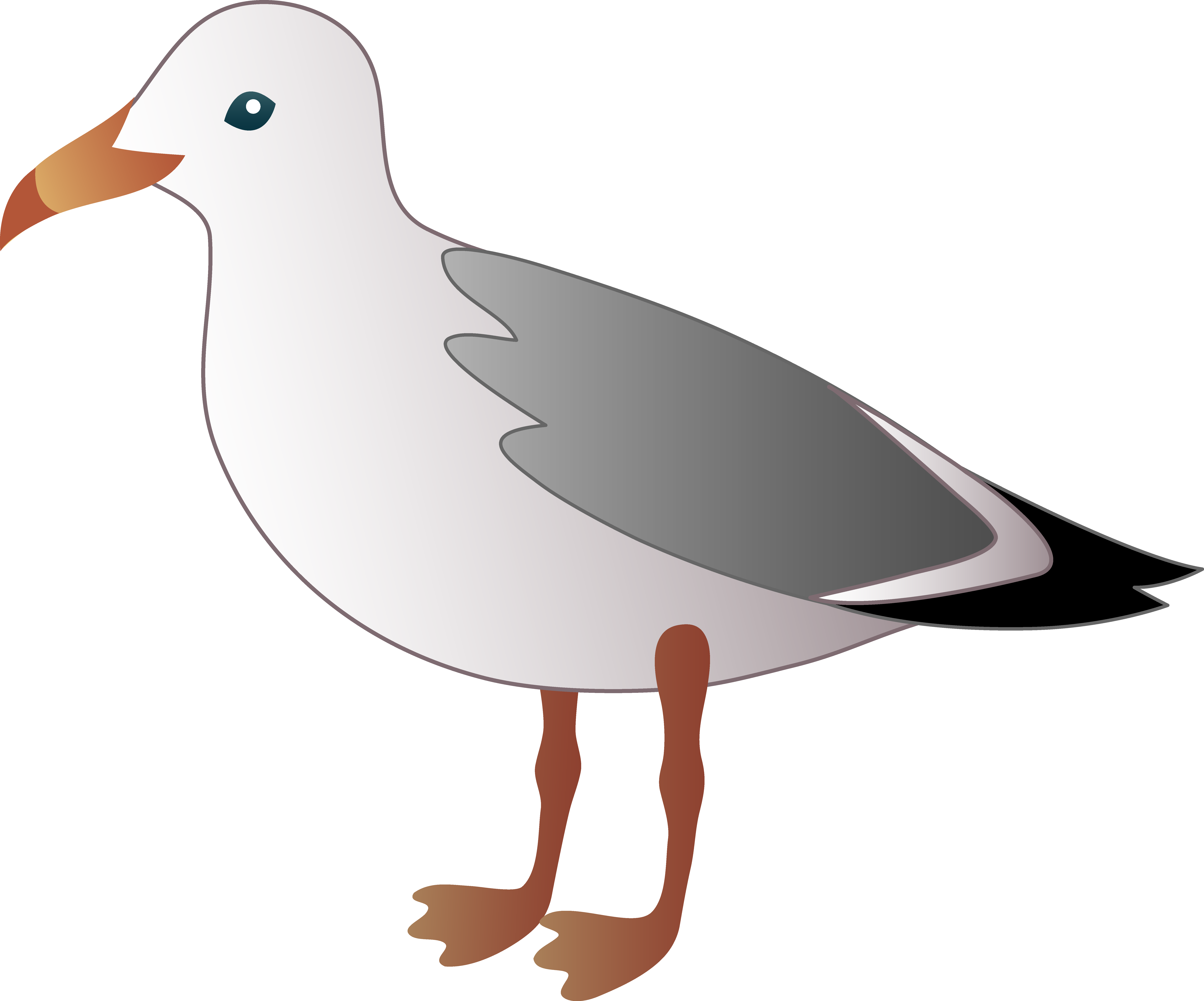 Little seagull free clip art