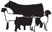Livestock Show Animal Clipart