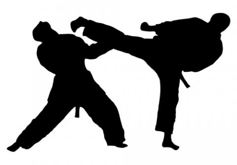Taekwondo Girl Clip Art