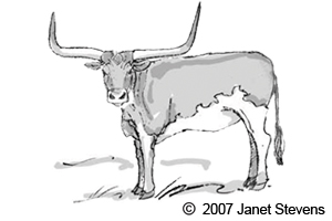 Longhorn Black And White Clipart #1