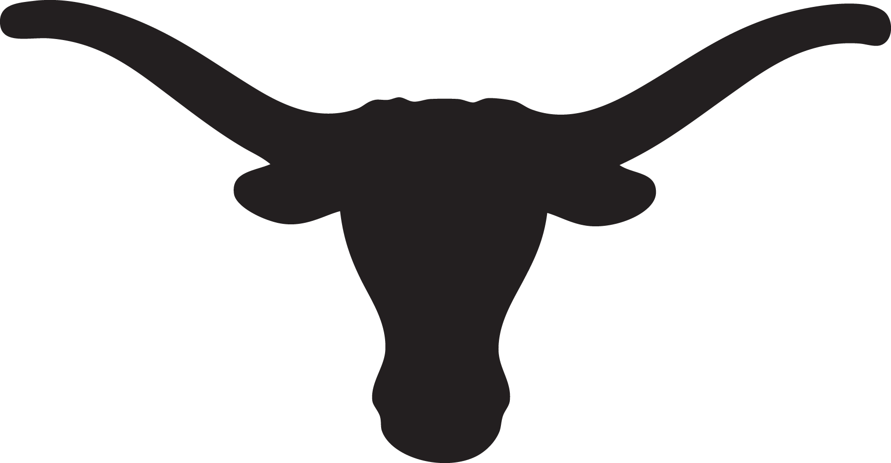 bull, cow, longhorn, animal,