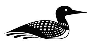 Loon And Baby Illustration 5x
