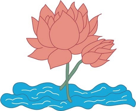 Clip Art Lotus Flower Water Clipart Lotus Pencil And In Color Water Clipart  Lotus