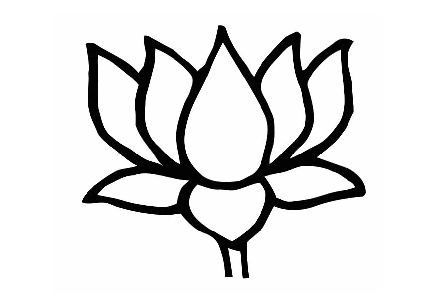 Lotus Flower Line Drawing