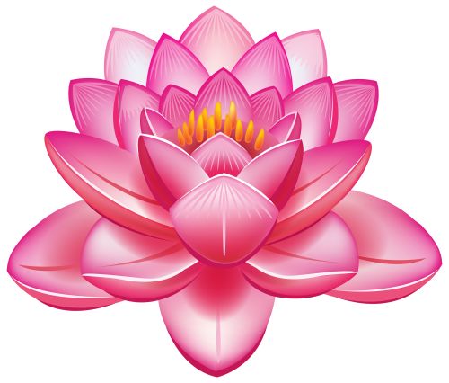 Lotus Flower PNG Clipart