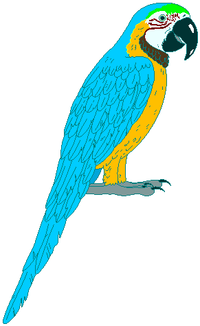 Macaw cliparts - Macaw Clipart