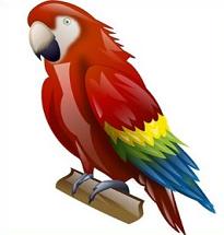 Macaw - Macaw Clipart