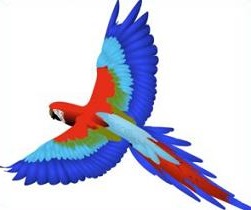 Macaw - Macaw Clipart