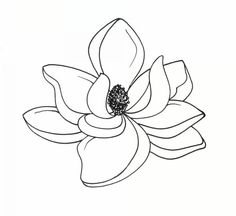 Magnolia Clip Art. Art
