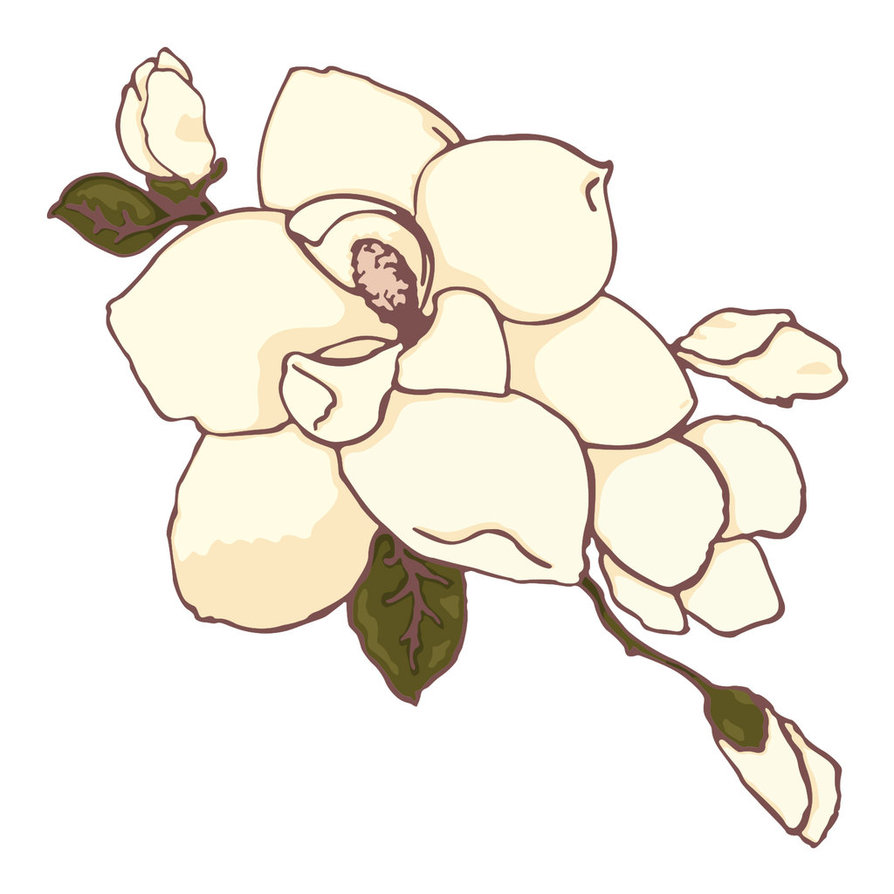 Magnolia Clipart #16555