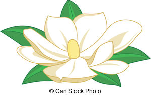 Magnolia Flower Clip Artby Lidiya8/2,081; Magnolia flower. - Magnolia flower on white background,.