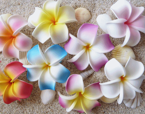 Make Hawaiian Flower Hair Clips The Best Flowers Ideas