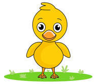 yellow duck in pond water. Si
