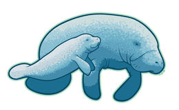 ... Manatee Clipart - Free Cl - Manatee Clipart