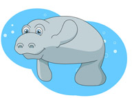 Manatee Under Water Size: 66 Kb From: Marine Life Clipart