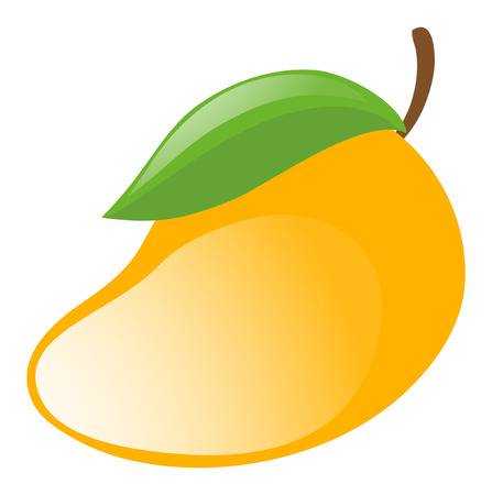 Fresh mango on white background illustration