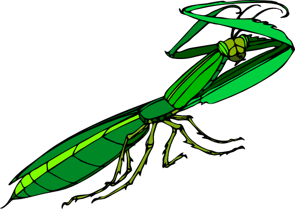 Mantis Clipart - Praying Mantis Clipart