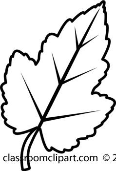 Maple Leaf Clipart Black And White Clipart Panda Free Clipart