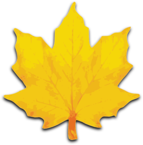 Clipart Info - Maple Leaf Clipart