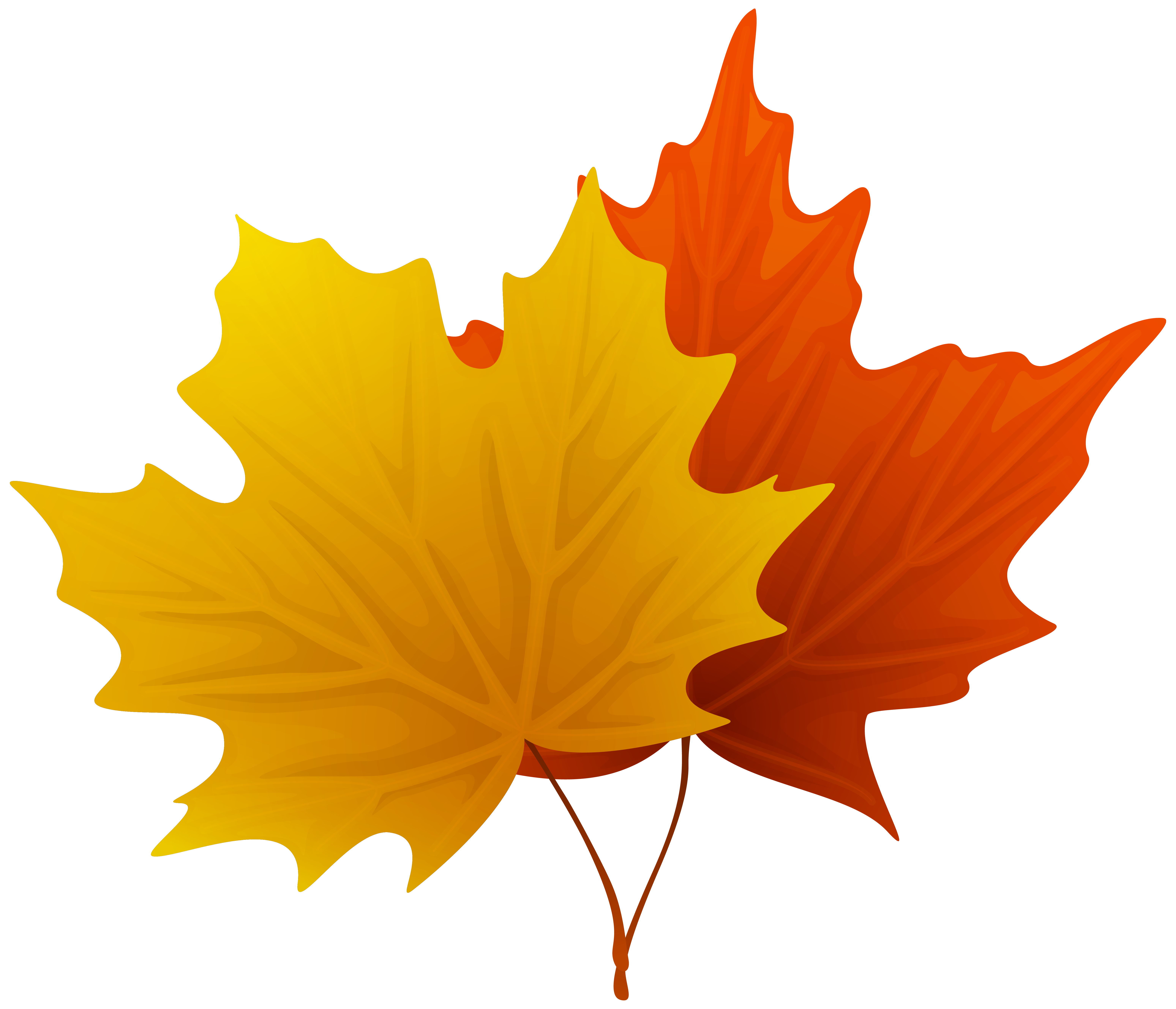 Fall Maple Leaf Clip Art
