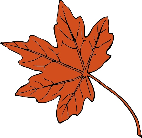 Maple Leaf clip art - Maple Leaf Clipart