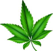 Cannabis Marijuana Leaf Clipa