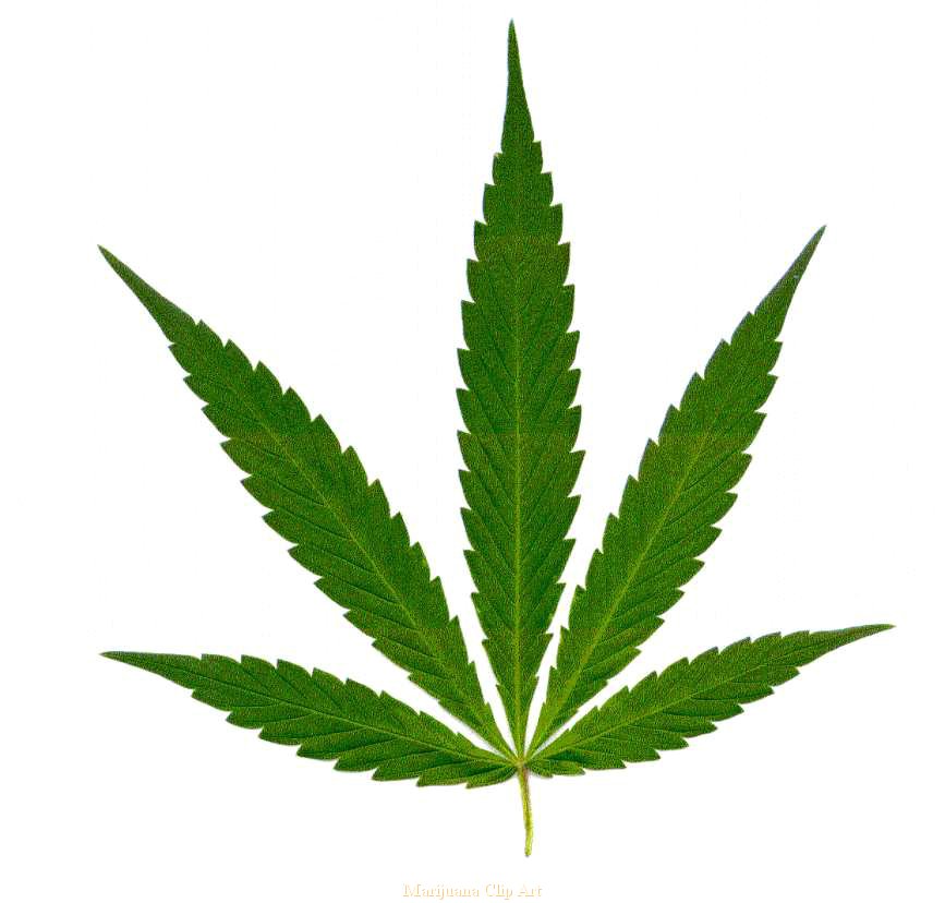 Marijuana Clip Art Car Interi - Weed Leaf Clip Art