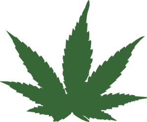 ... Cannabis leaf. Fully edit