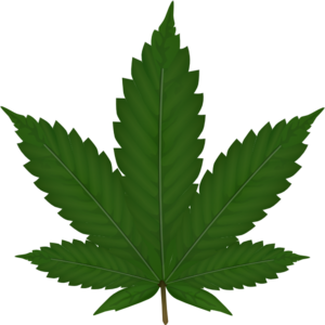 Marijuana Weed Leaf Clipart . - Weed Leaf Clip Art