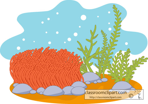 Marine Life Clipart Coral Ree - Coral Reef Clipart