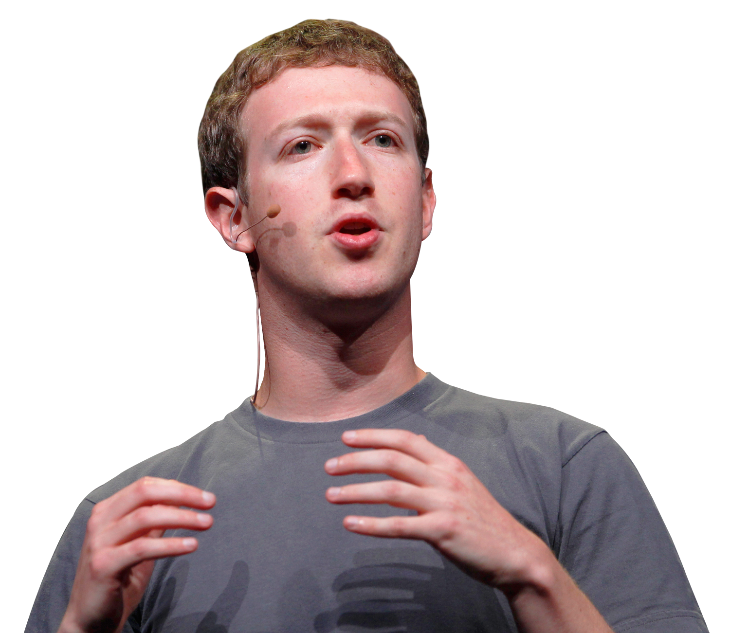 Mark Zuckerberg Portrait Cari