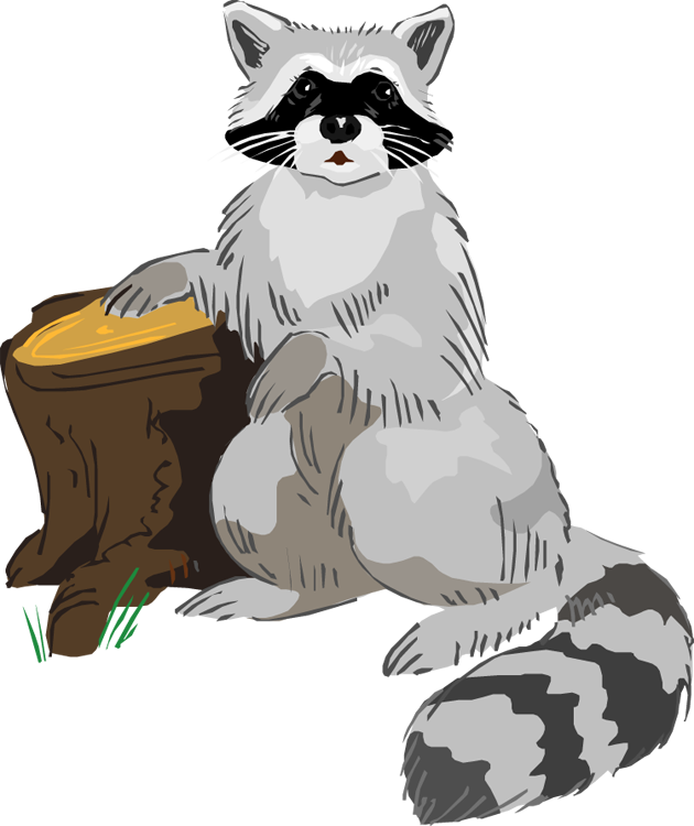 Masked Raccoon - Raccoon Clipart